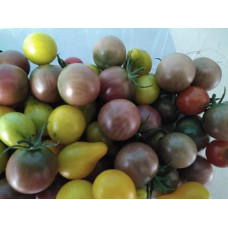 Barquette de tomates cerises BIO